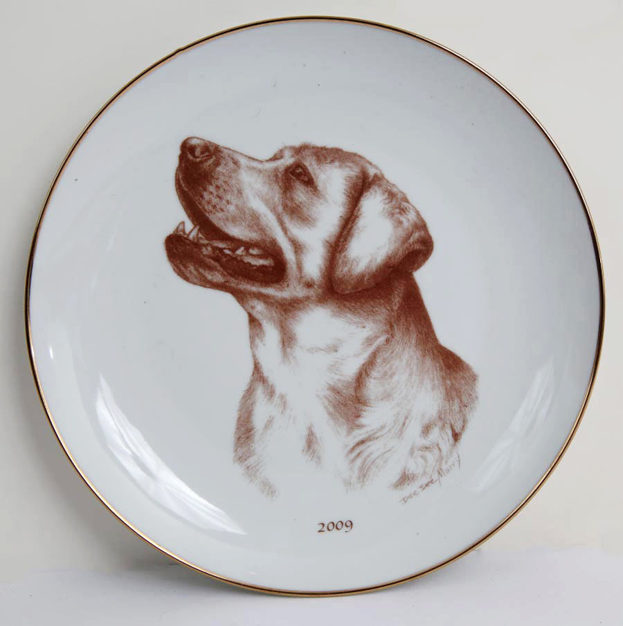Labrador Retriever 2009
