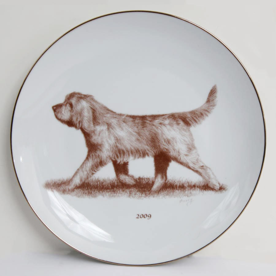 Otterhound 2009
