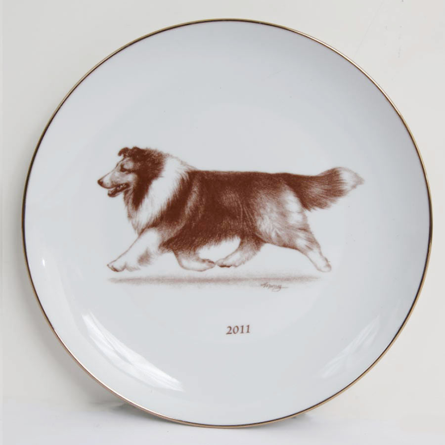 Shetland Sheepdog 2011