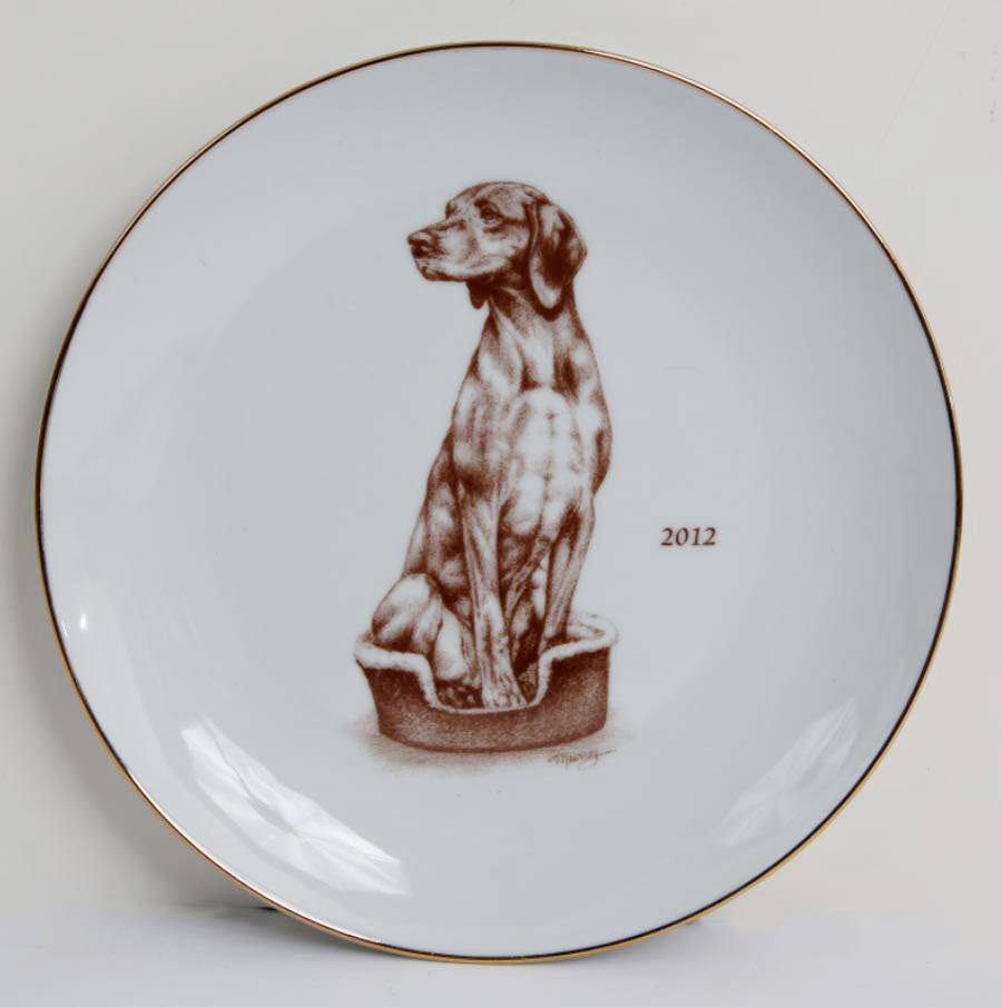 Vizsla 2012
