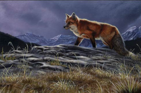 Along the Rim
