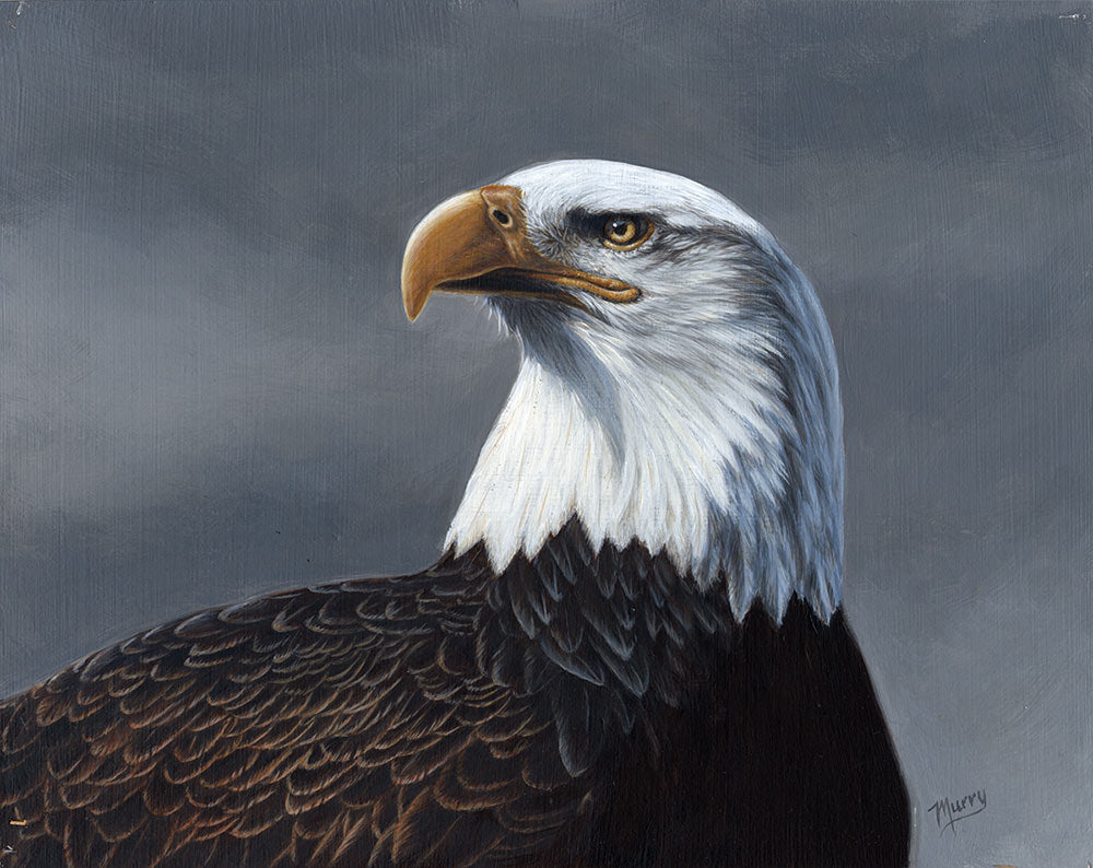 Eagle Eye