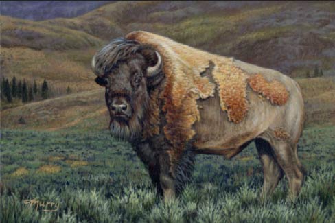 Home on the Range