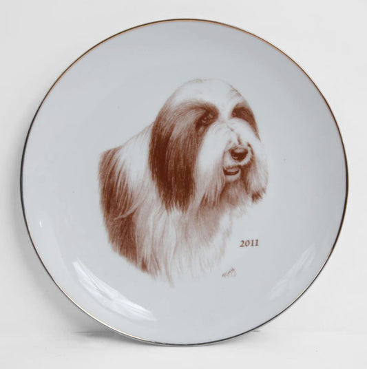 Bearded Collie 2011