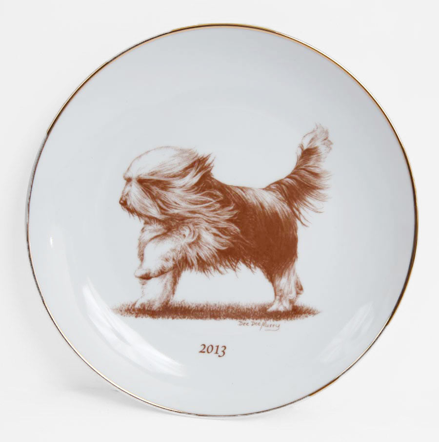 Bearded Collie 2013