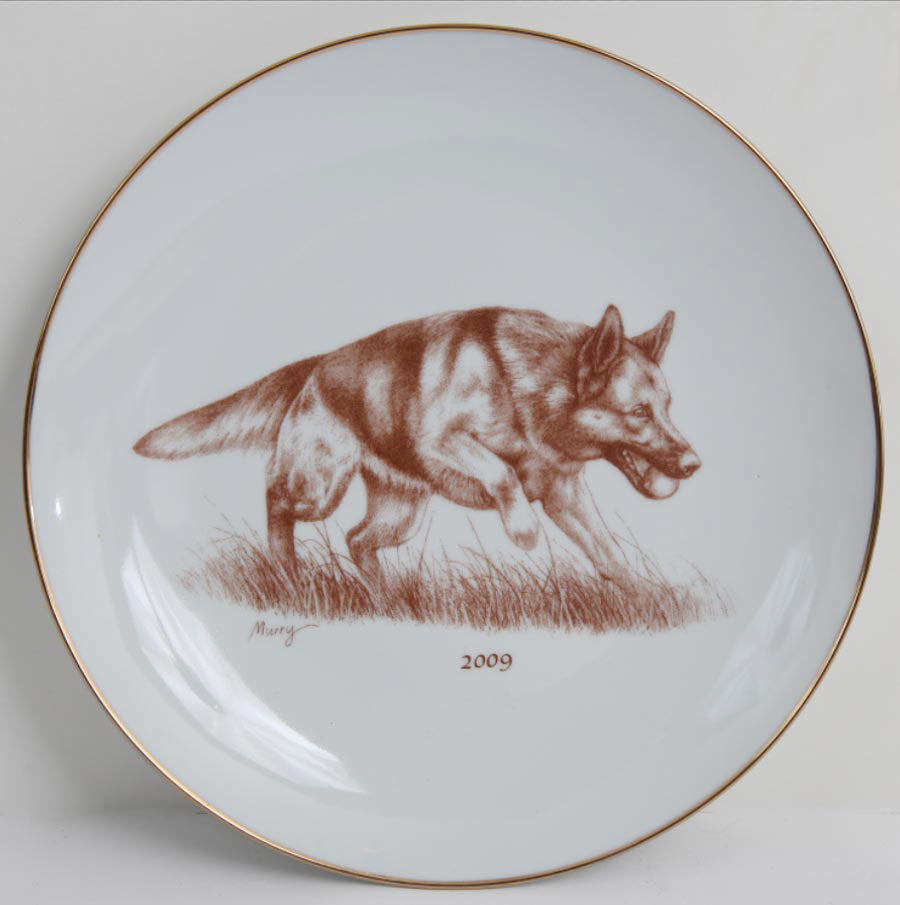 German Shepherd 2009