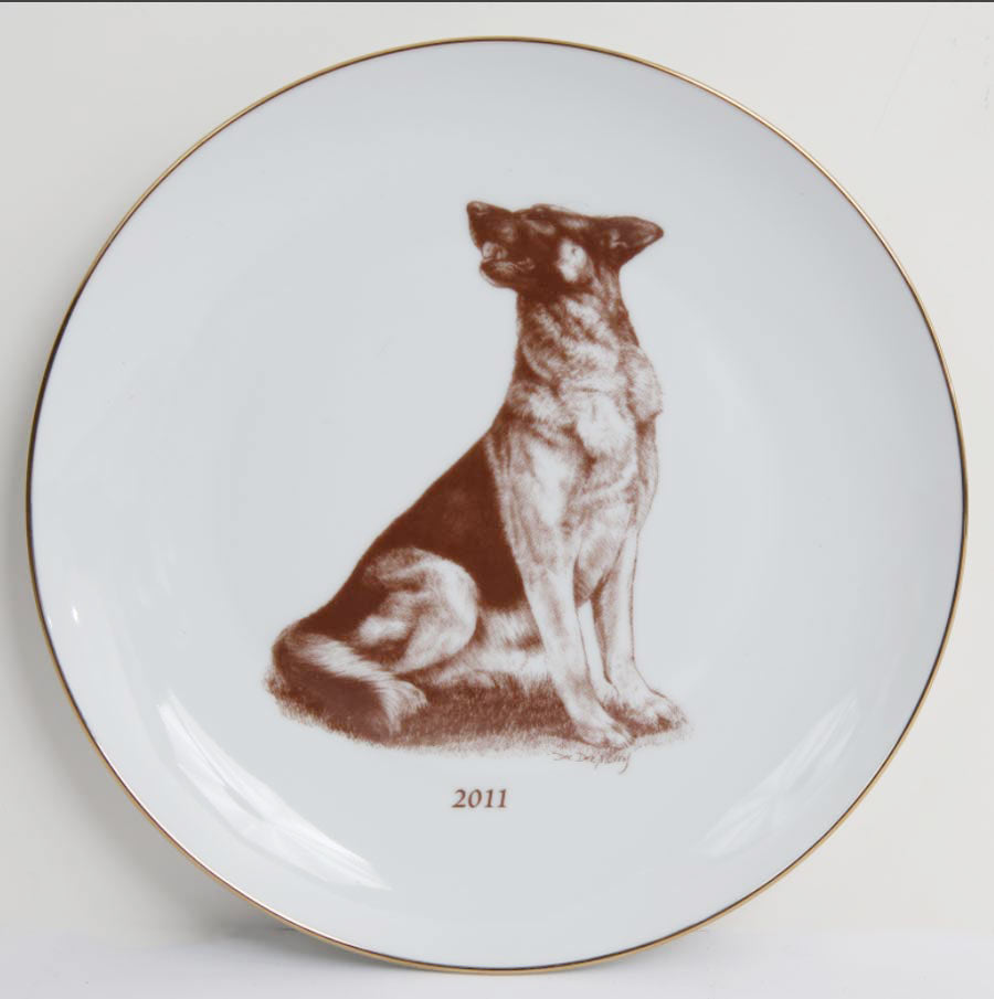 German Shepherd 2011