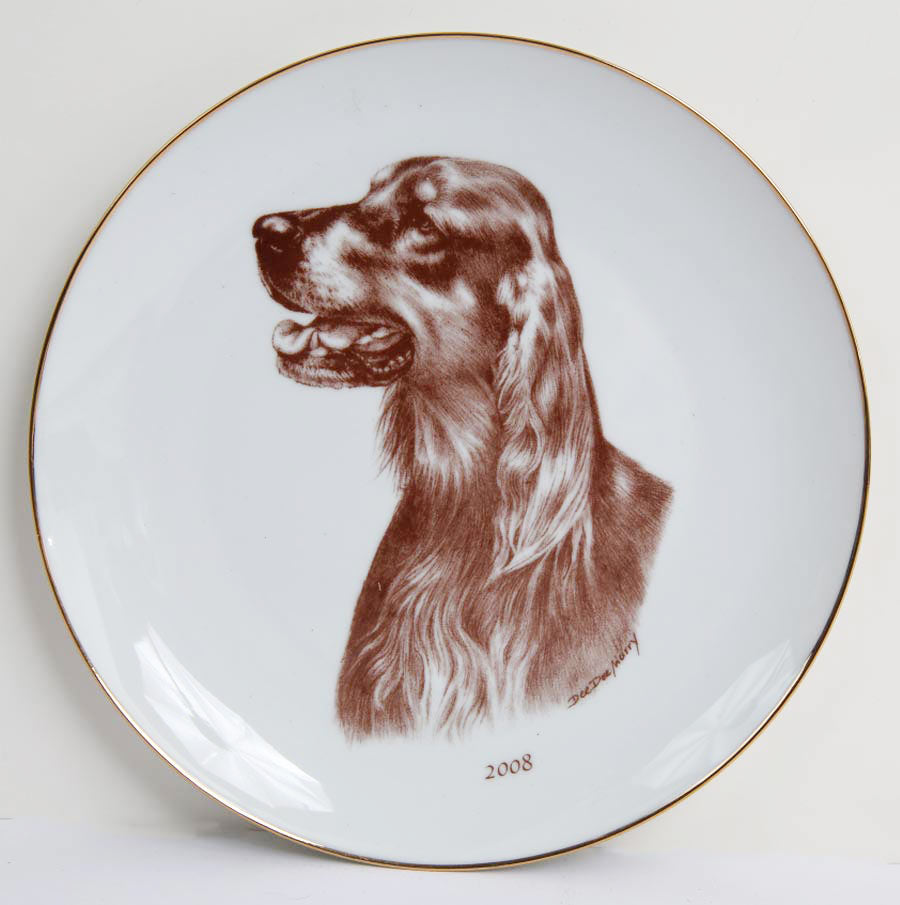 Irish Setter  2008