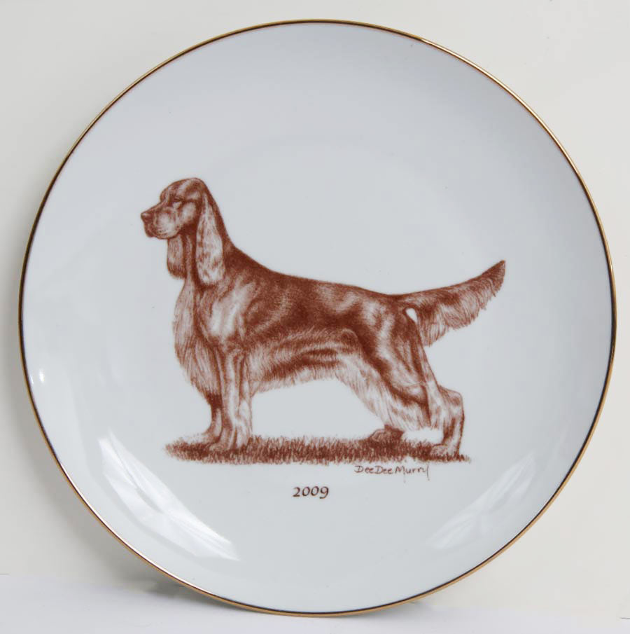 Irish Setter 2009