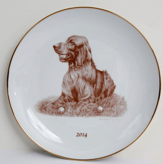 Irish Setter 2014