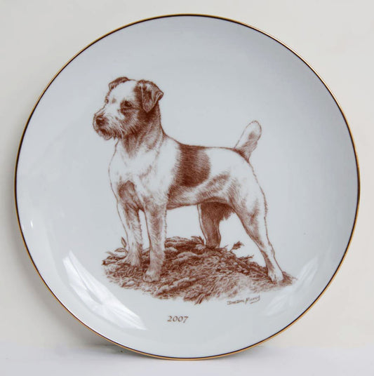 Jack Russell Terrier 2007