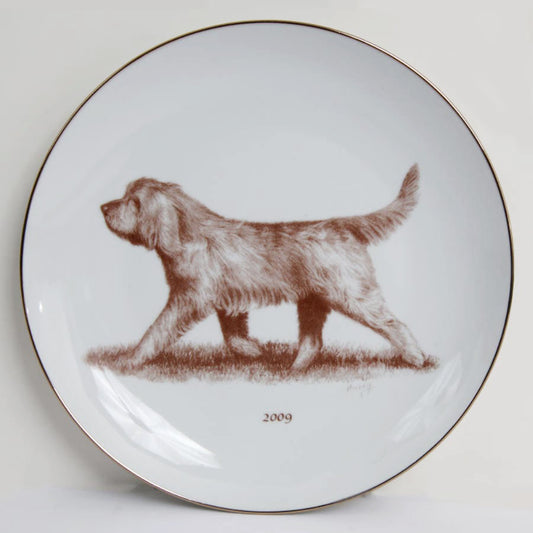 Otterhound 2009