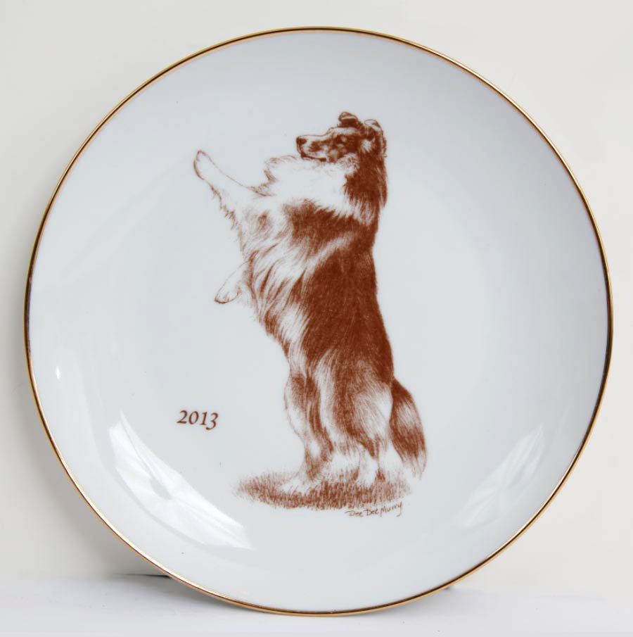 Shetland Sheepdog  2013