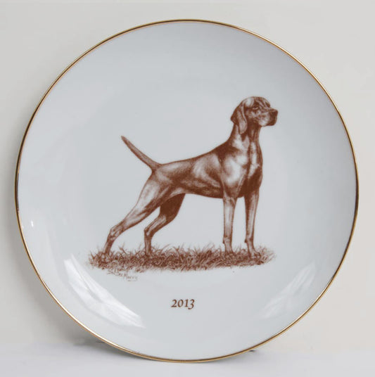 Vizsla 2013