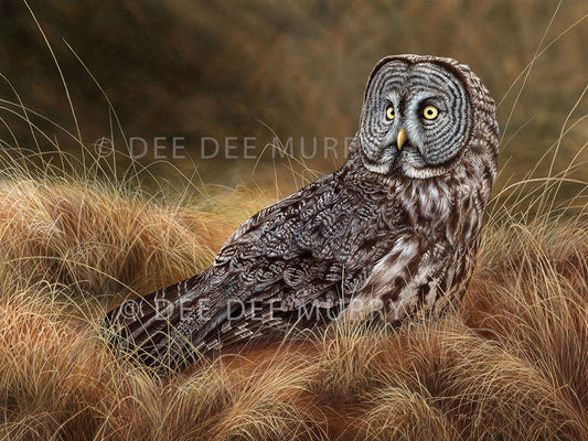 Great Gray Hunter