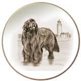 Laurelwood Plate Newfoundland Dog